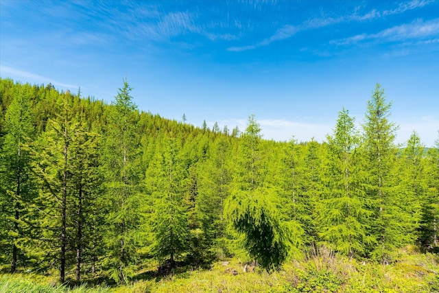 NHN Griffin Creek Rd, Marion, MT 59925