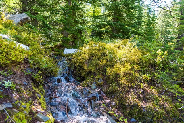 NHN Griffin Creek Rd, Marion, MT 59925