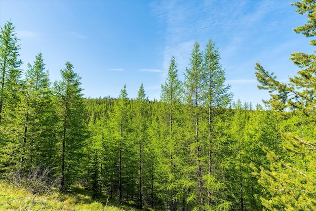 NHN Griffin Creek Rd, Marion, MT 59925