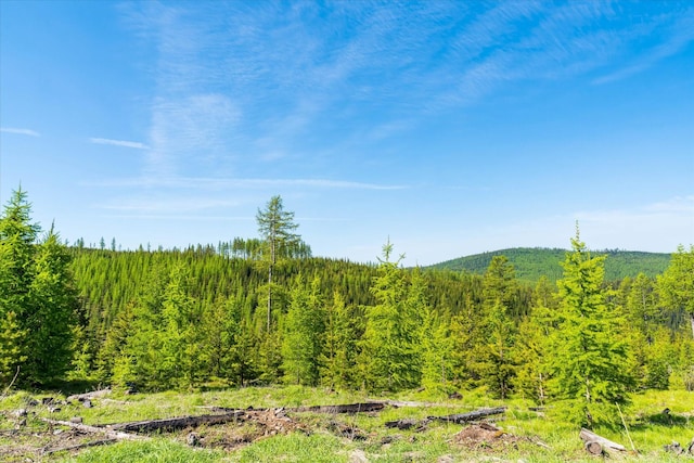 NHN Griffin Creek Rd, Marion, MT 59925