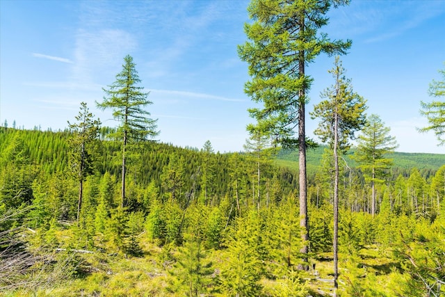 NHN Griffin Creek Rd, Marion, MT 59925