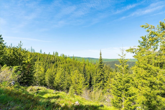 NHN Griffin Creek Rd, Marion, MT 59925