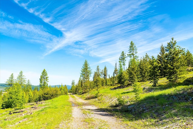 NHN Griffin Creek Rd, Marion, MT 59925