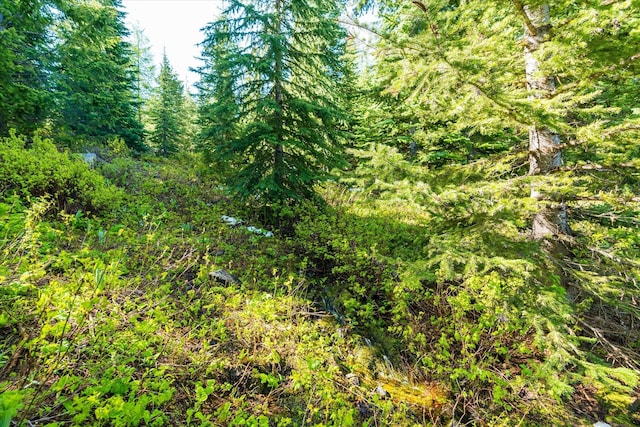 NHN Griffin Creek Rd, Marion, MT 59925