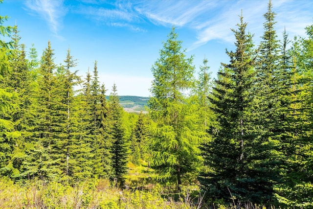 NHN Griffin Creek Rd, Marion, MT 59925