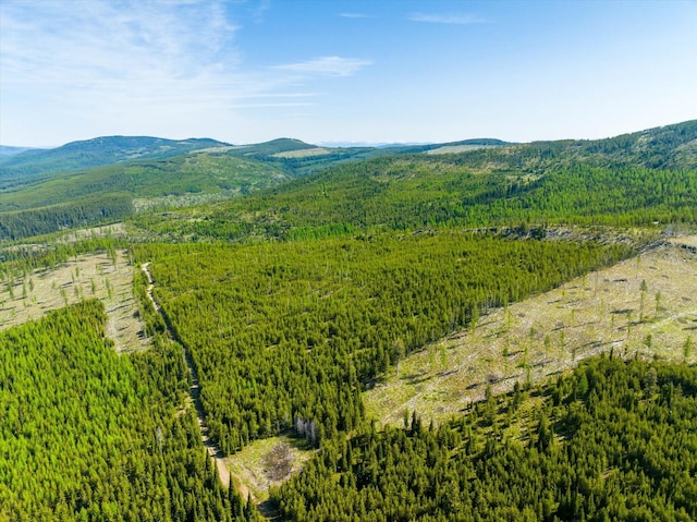 NHN Griffin Creek Rd, Marion, MT 59925