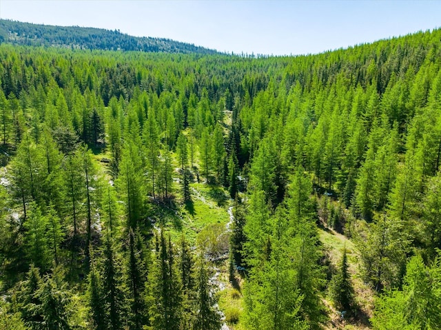 NHN Griffin Creek Rd, Marion, MT 59925