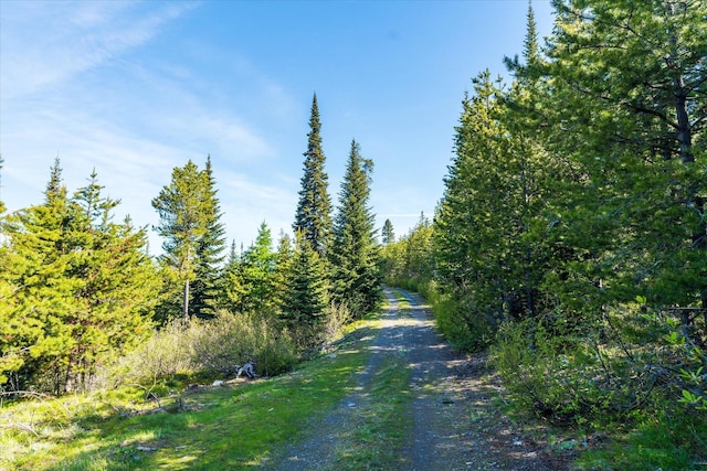NHN Griffin Creek Rd, Marion, MT 59925