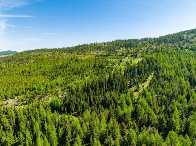 NHN Griffin Creek Rd, Marion, MT 59925