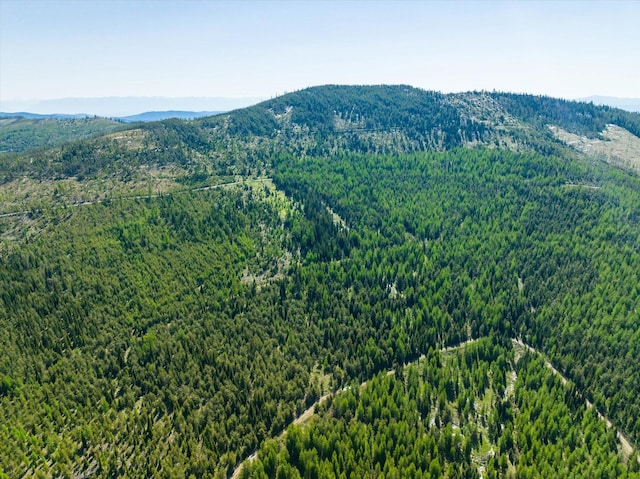 NHN Griffin Creek Rd, Marion, MT 59925
