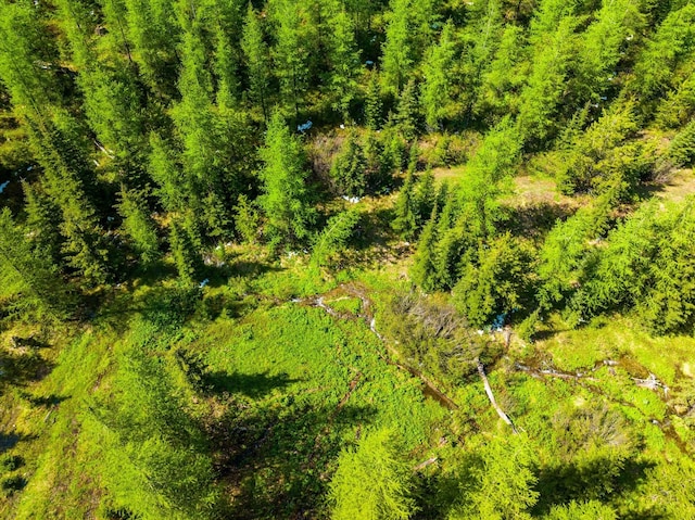 NHN Griffin Creek Rd, Marion, MT 59925