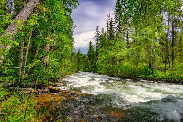 view of local wilderness featuring a water view