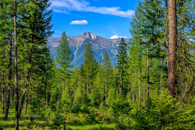 view of mountain view