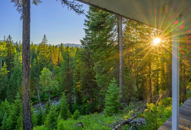 view of local wilderness