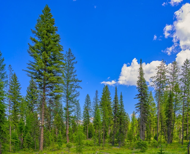 view of mother earth's splendor