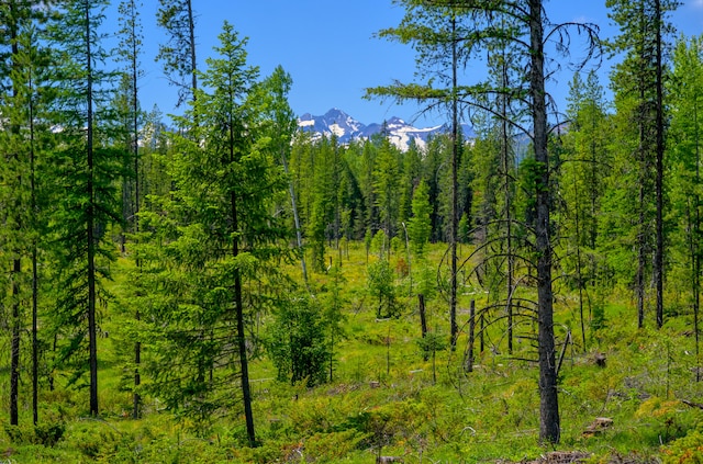 view of nature with a mountain view