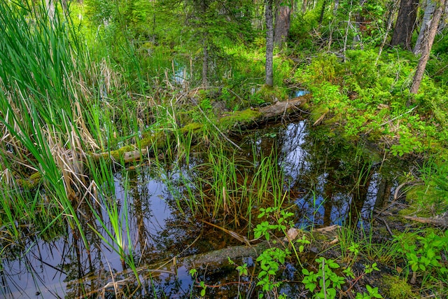 view of nature featuring a water view