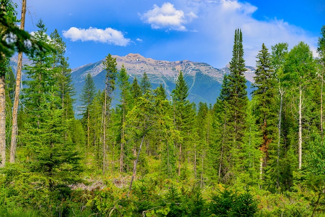 view of mountain feature