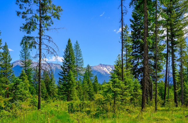 view of mountain feature