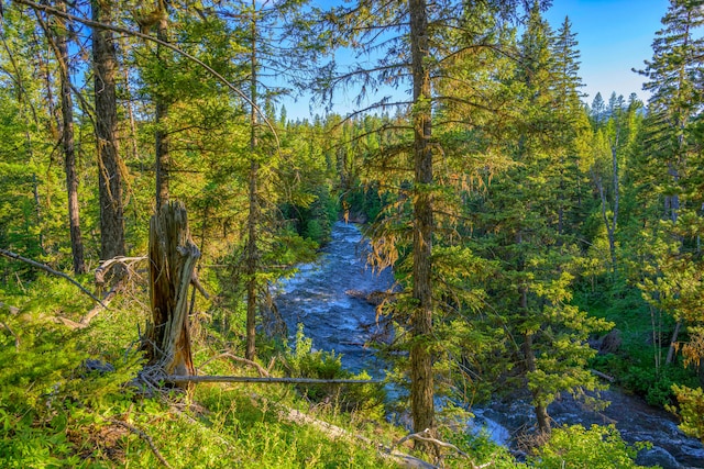 view of local wilderness featuring a water view