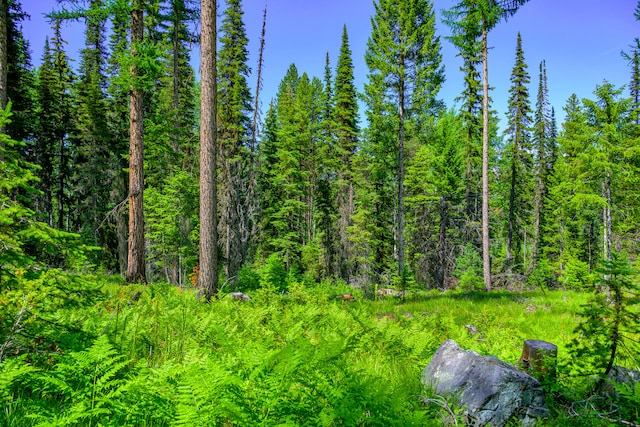 view of mother earth's splendor