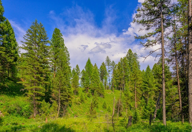 view of local wilderness