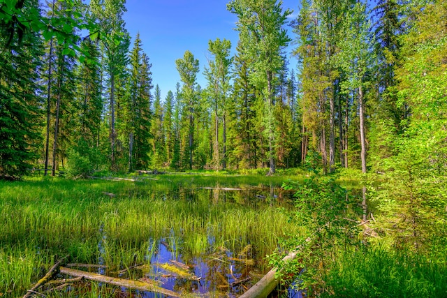 view of local wilderness with a water view