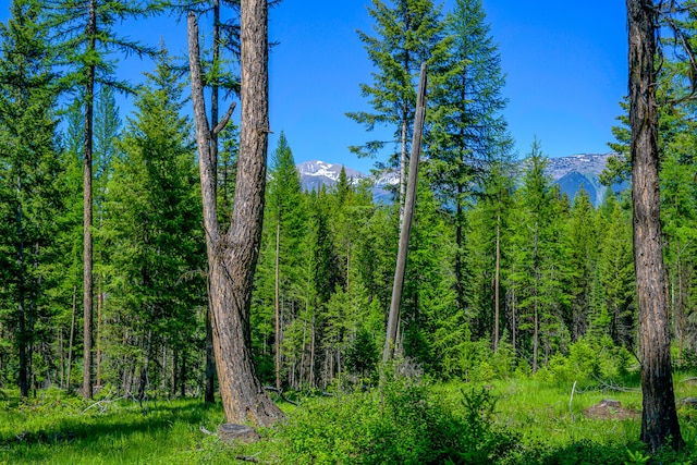 view of nature featuring a mountain view