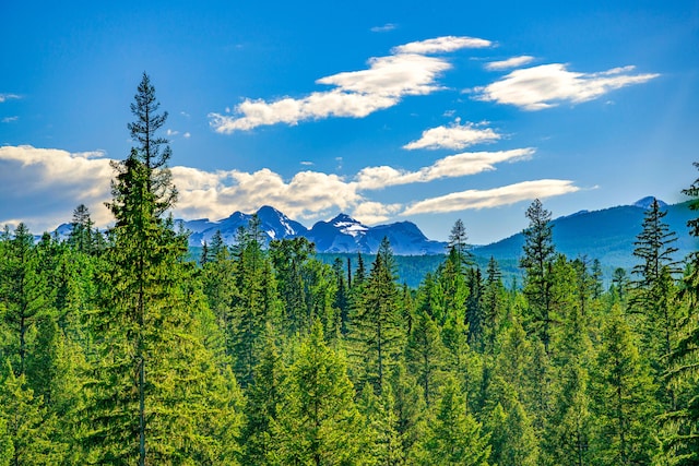 view of mountain view