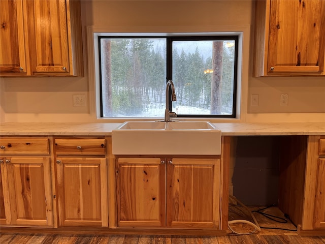 kitchen with sink and dark wood-type flooring