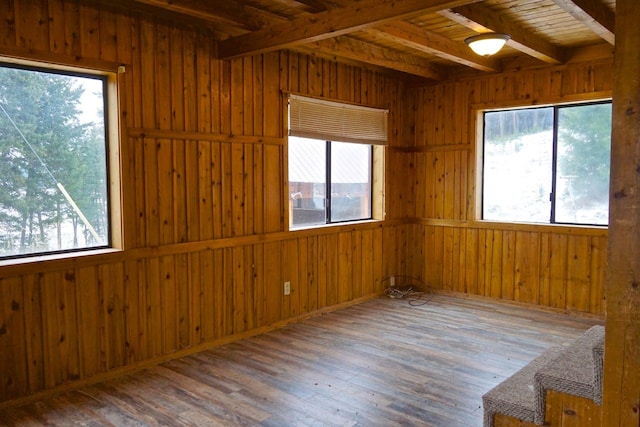 empty room with a healthy amount of sunlight and dark hardwood / wood-style floors