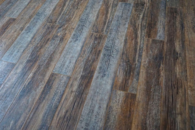 details featuring dark wood-type flooring