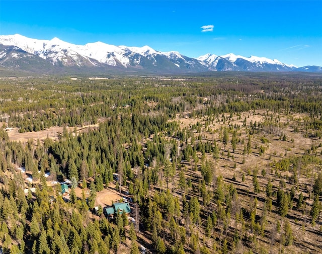 drone / aerial view with a mountain view