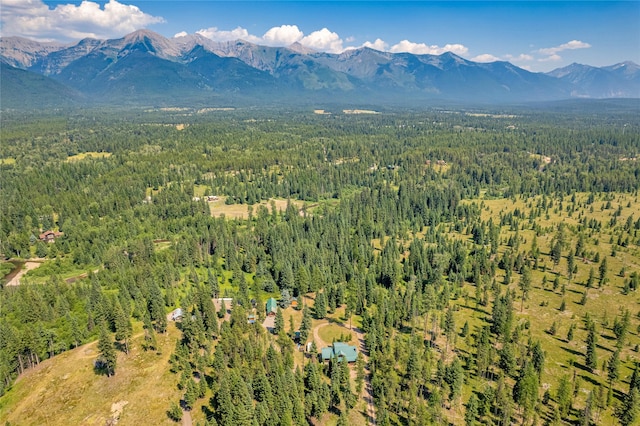 aerial view with a mountain view