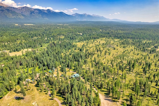 bird's eye view featuring a mountain view