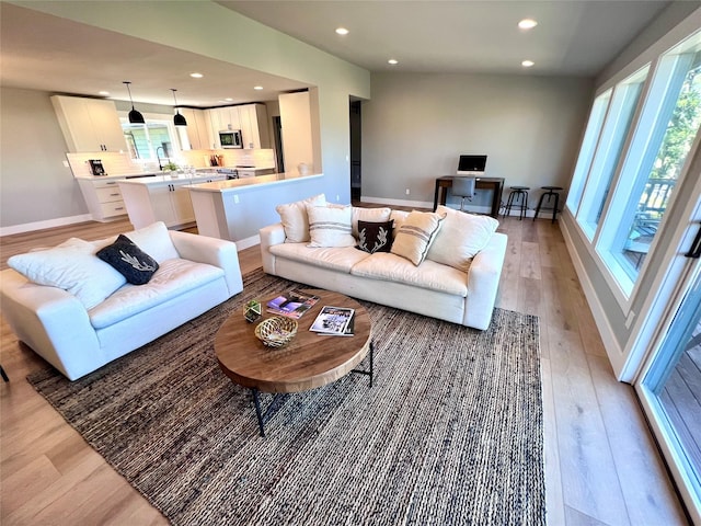 living room featuring light hardwood / wood-style flooring