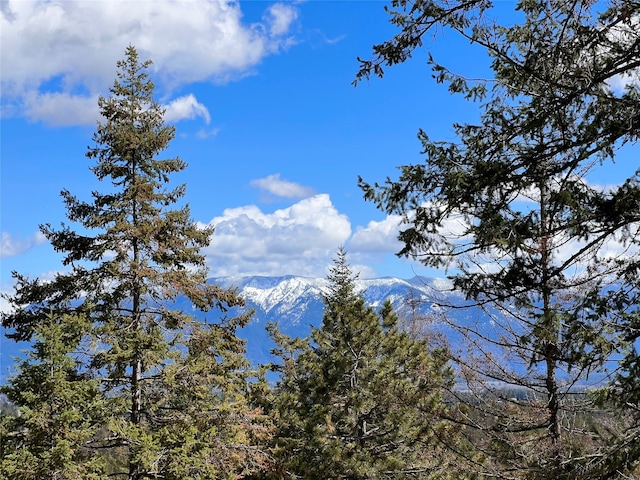 view of local wilderness with a mountain view