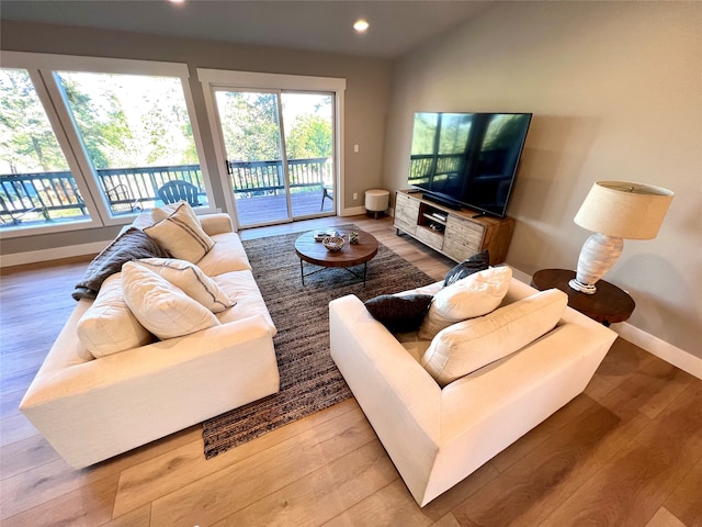 living room with wood-type flooring