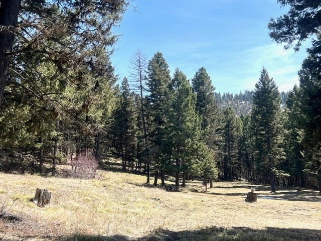 990 Elkhorn Rd, Seeley Lake MT, 59868 land for sale