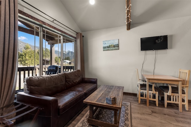 living room featuring dark wood-type flooring and vaulted ceiling