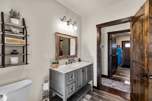 bathroom featuring toilet, vanity, and wood-type flooring