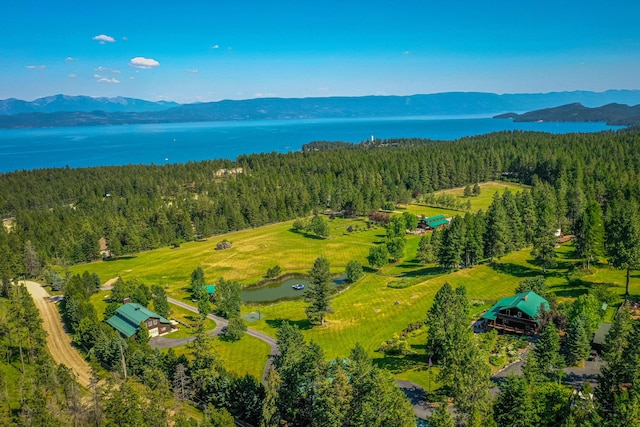 birds eye view of property featuring a water and mountain view