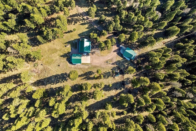 964 Elkhorn Rd, Seeley Lake, MT 59868 - aerial overview of property's location