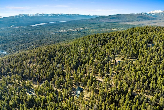 aerial view with a mountain view