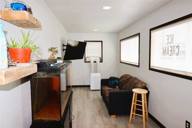 living room with wood-type flooring