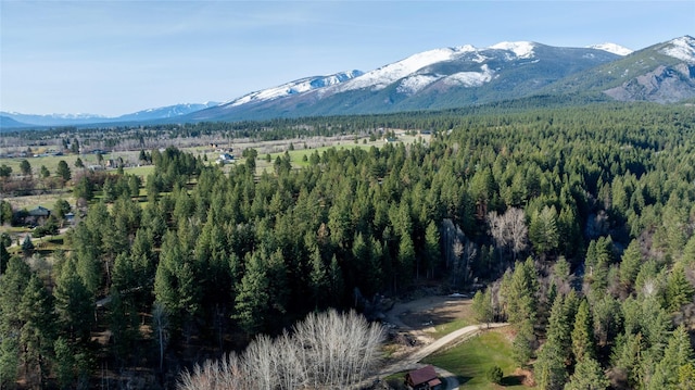 305 Jorgy Way, Hamilton, MT 59840