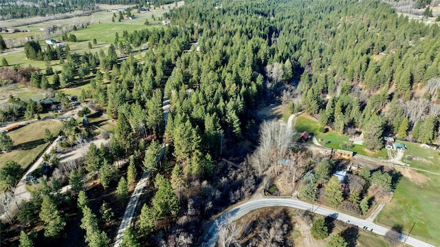 305 Jorgy Way, Hamilton, MT 59840