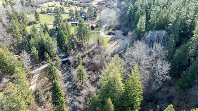305 Jorgy Way, Hamilton, MT 59840