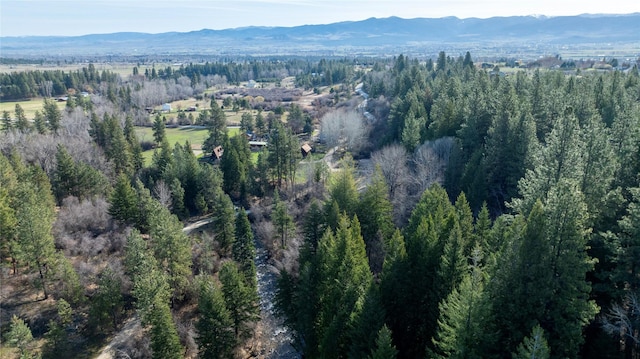 305 Jorgy Way, Hamilton, MT 59840