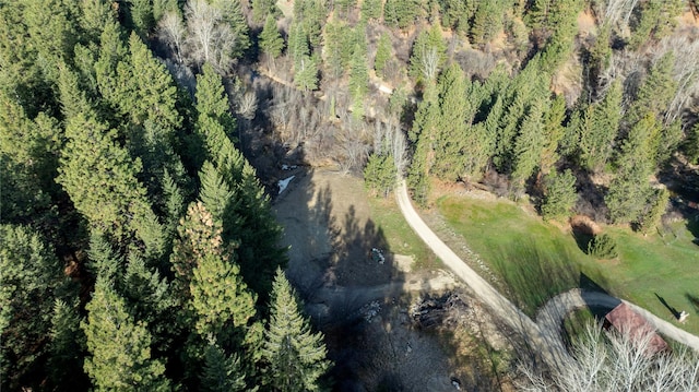 305 Jorgy Way, Hamilton, MT 59840